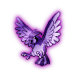 Shadow Pidgeotto